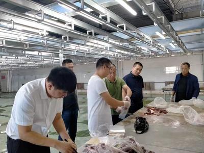 市农业农村局协助省厅开展省级2021年第三季度饲料兽药畜产品监督抽样工作